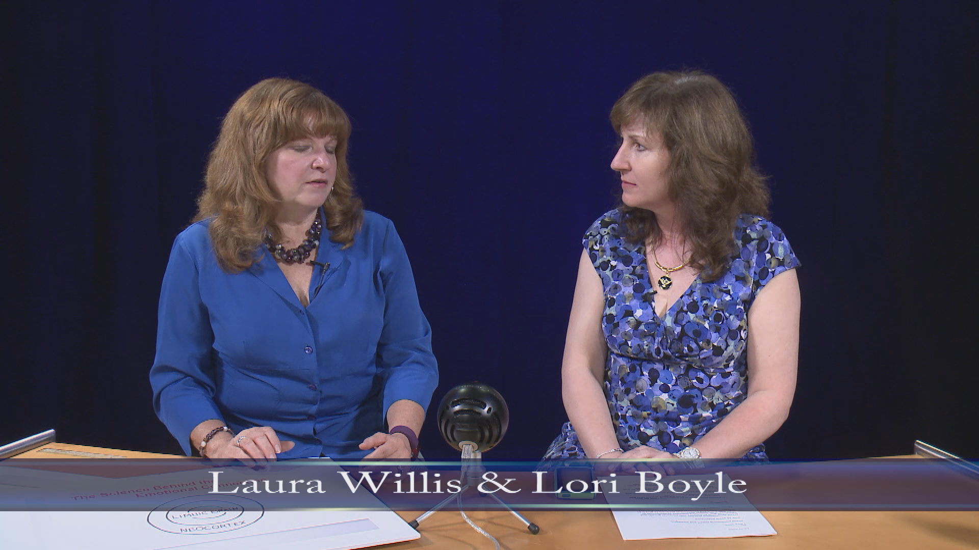 Lori  Boyle Show_Branding Your Biz Laura Willis