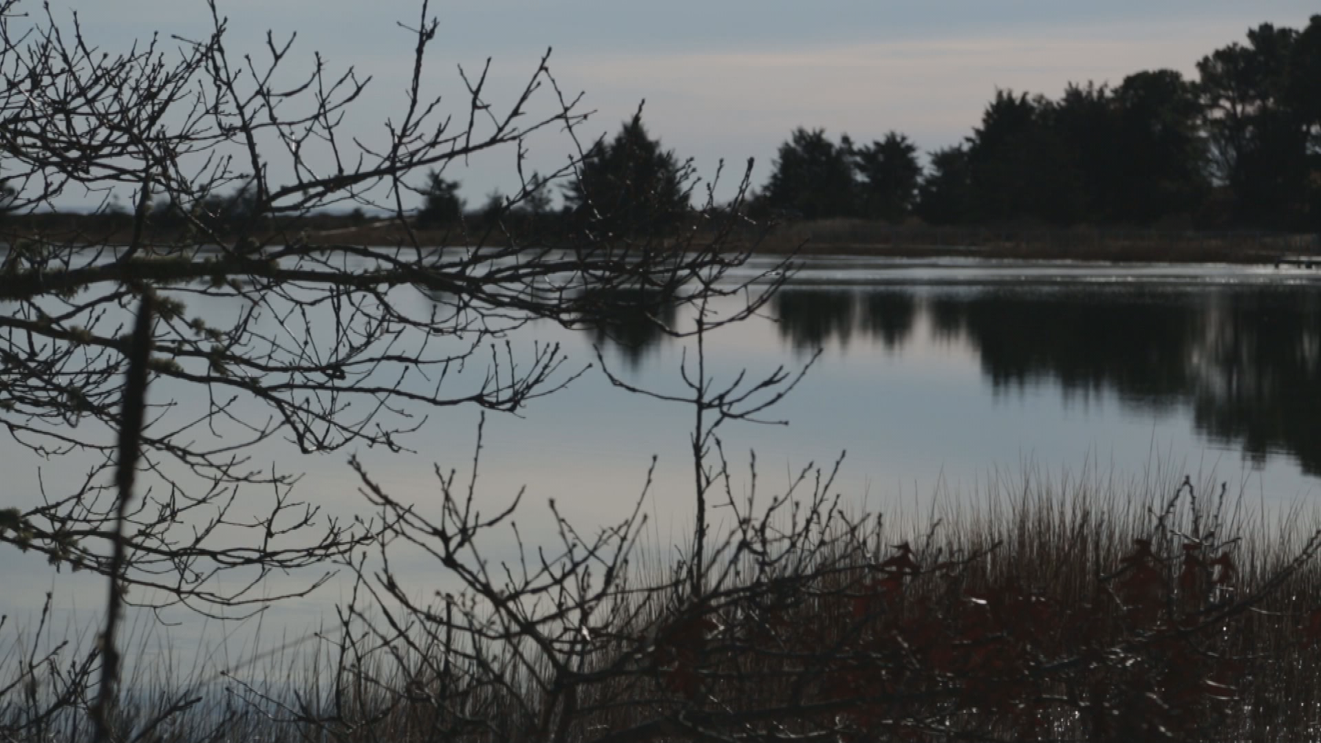 Thumbnail image for SuicideIsPreventablePSA