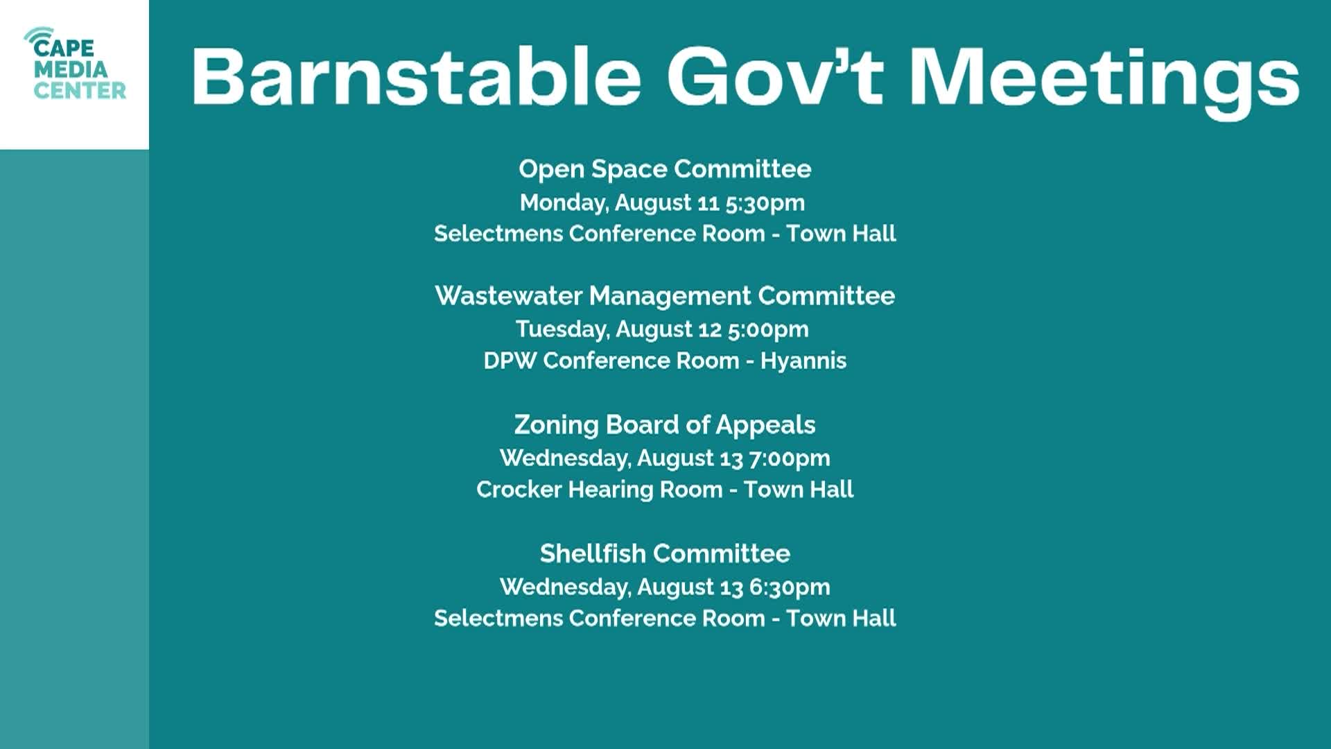 Town Government Meetings 8-8-2025