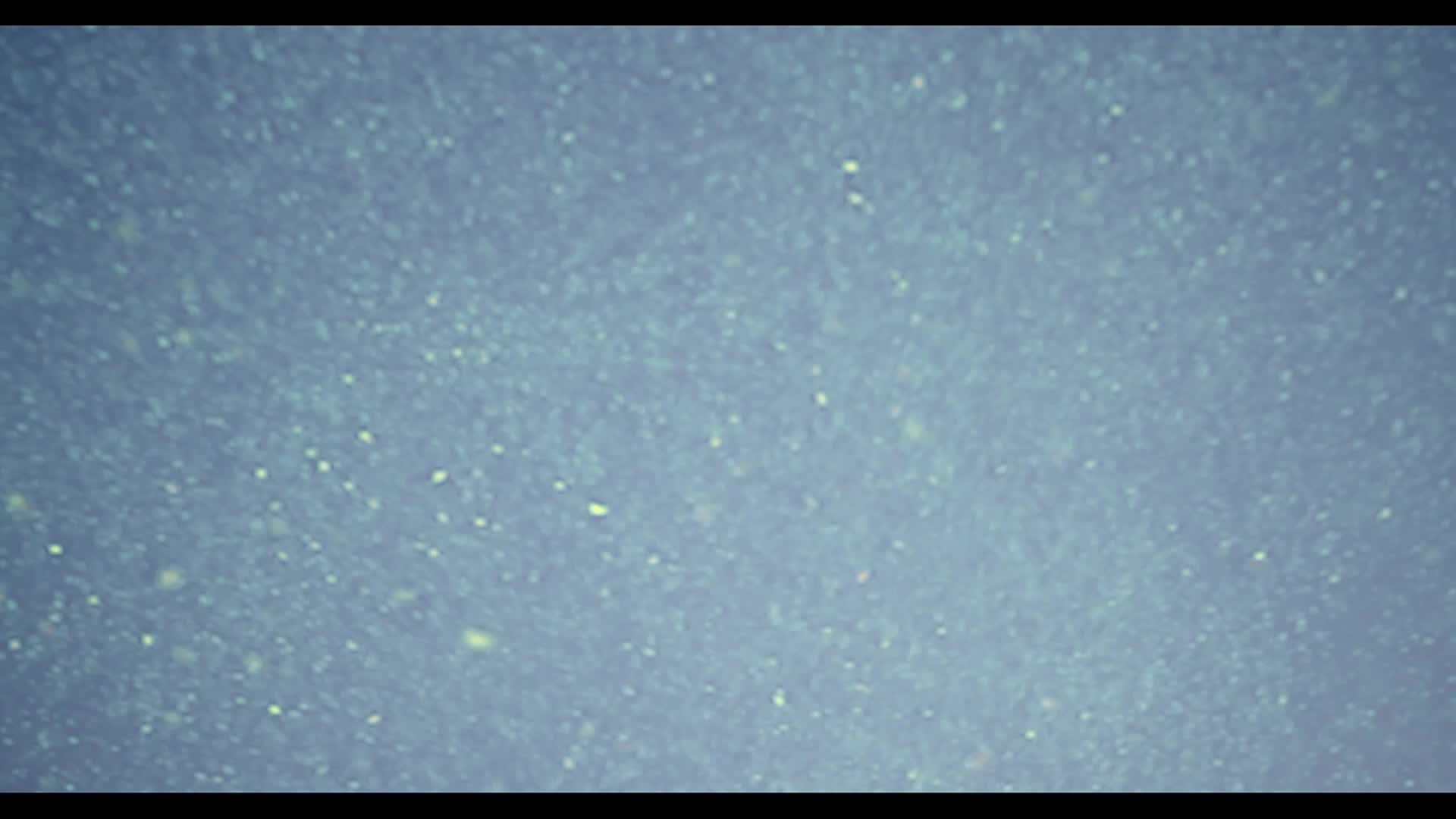 Immer Presents - Lovecraft without Tears