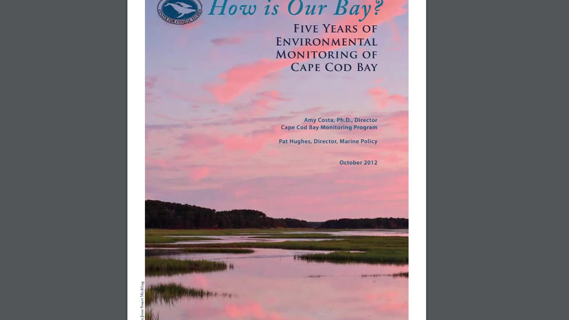 Dockside Chat with Rich Delaney - World Oceans Day