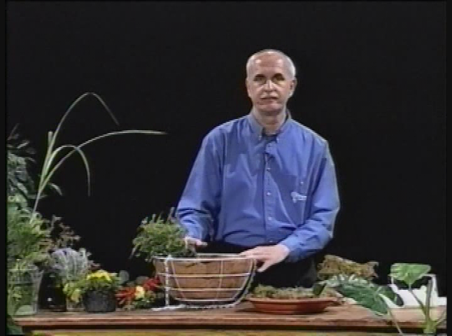 Thumbnail image for Sonnys Floral Trends Feng Shui