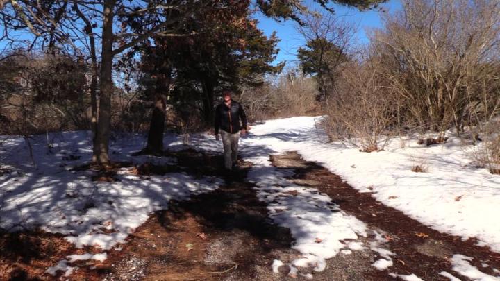 Thumbnail image for Testpal