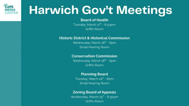 Thumbnail image for Harwich gov 3-13