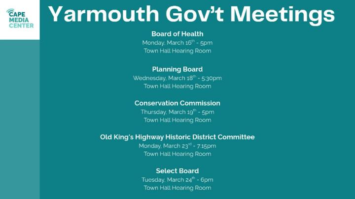 Thumbnail image for Yarmouth gov 3-13