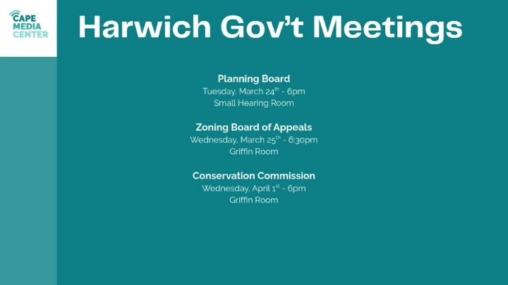 Thumbnail image for Harwich gov 3-20