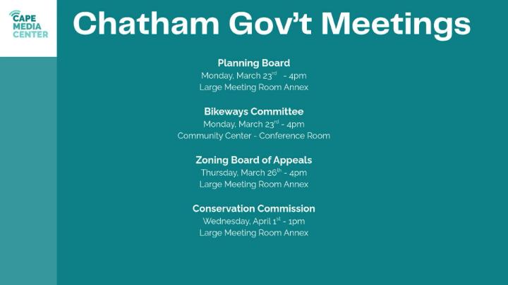 Thumbnail image for Chatham gov 3-20