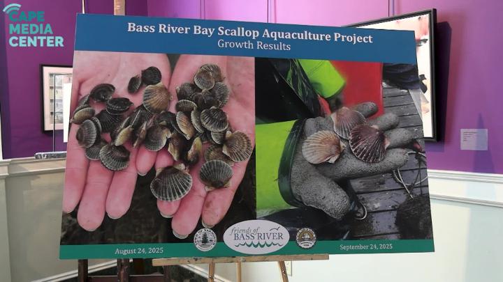 Thumbnail image for Cape Media Center News - March 27th 2026