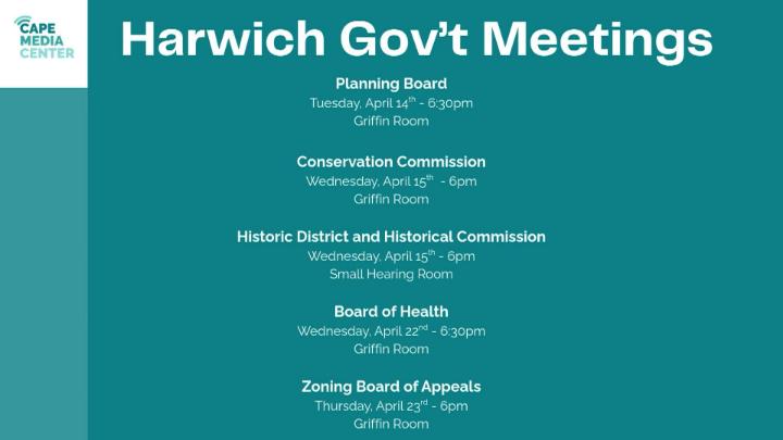 Thumbnail image for Harwich gov 4-3
