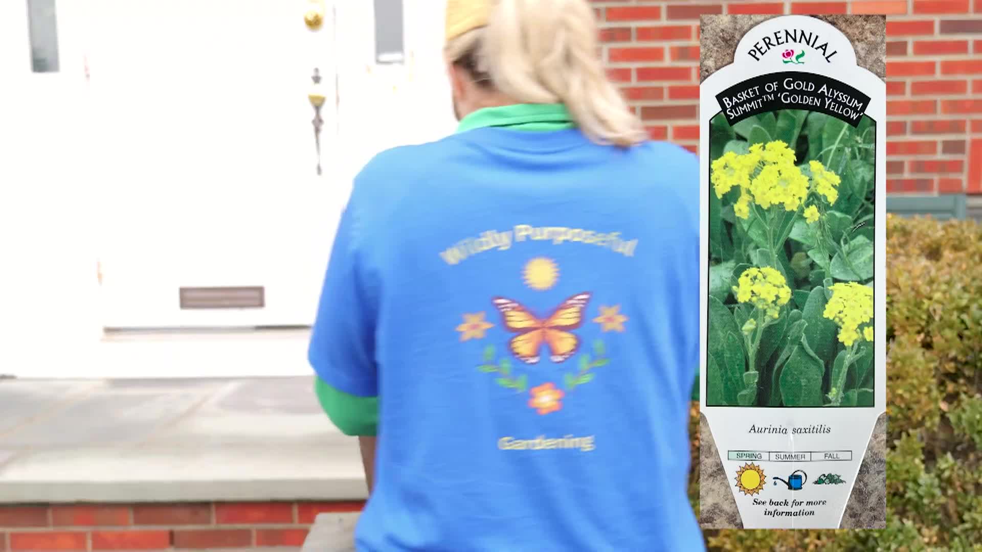 Thumbnail image for Wildly Purposeful PSA - Spring Planter Refresh