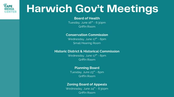 Thumbnail image for Harwich gov 6-12