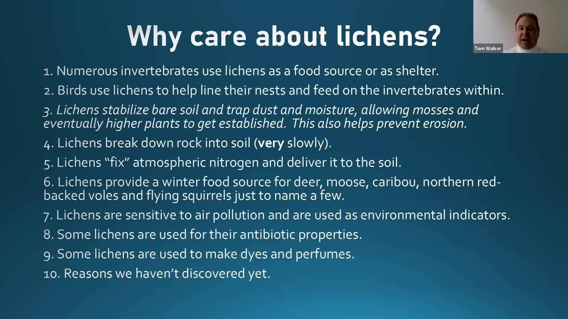 Thumbnail image for Chatham Conservation Foundation - Intro to Lichens on Cape Cod