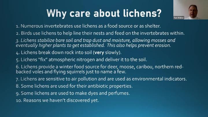 Thumbnail image for Chatham Conservation Foundation - Intro to Lichens on Cape Cod