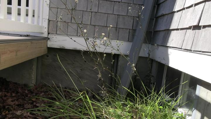 Thumbnail image for Gabe Toomey Presents - Weed Whacking Commercial (a comedy short)