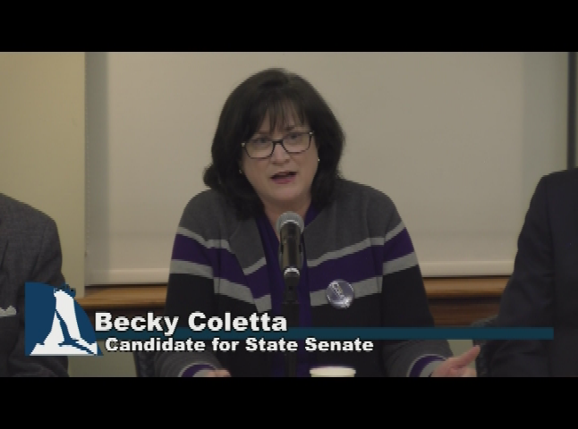 Thumbnail image for Democratic Plymouth and Barnstable_State Senate Candidates Forum_Feb 13 2020