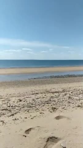 Thumbnail image for Captain Awesome_Hike along Race Point, Provincetown, MA