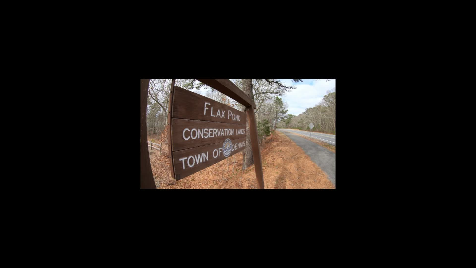 Thumbnail image for Cape Escapes - Flax Pond