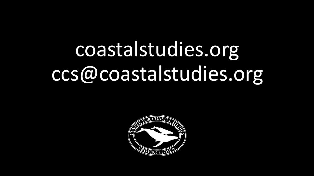 Thumbnail image for Center for Coastal Studies_Dockside Webinar_ Understanding Bycatch and Depredation in Gillnet Fisheries