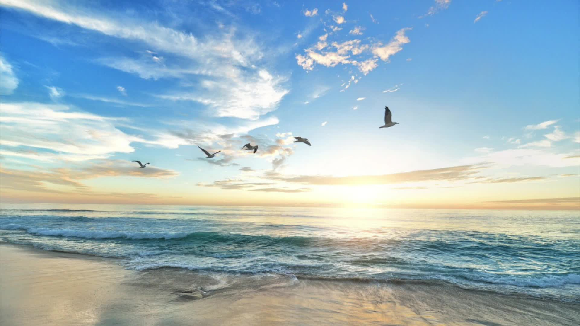 Thumbnail image for Cape Cod Fishing-June Striper Fishing