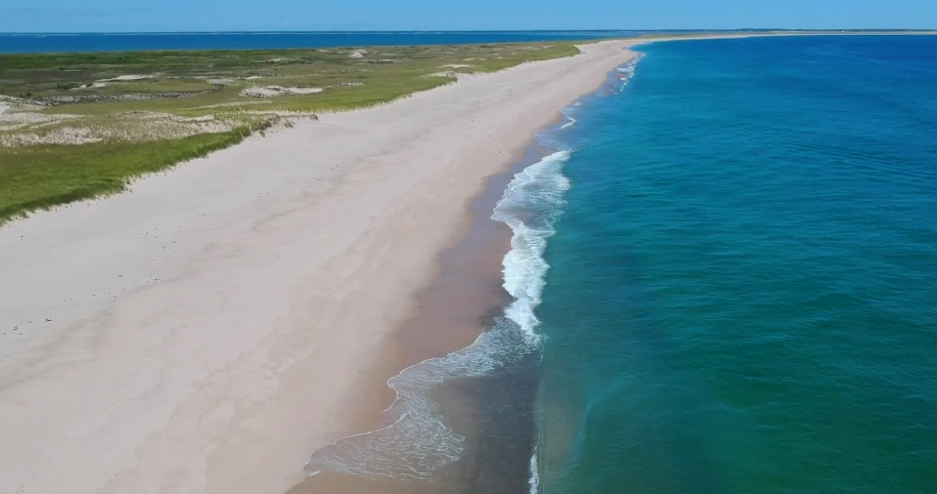 Cape Cod Fishing - Great White Sharks