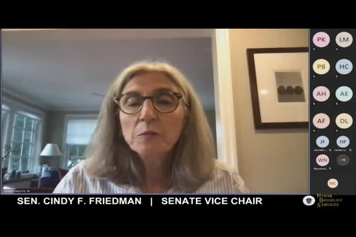 Thumbnail image for MA Joint Ways & Means Hearing ARPA Funding- September 21st, 2021 (Part 1 of 4)