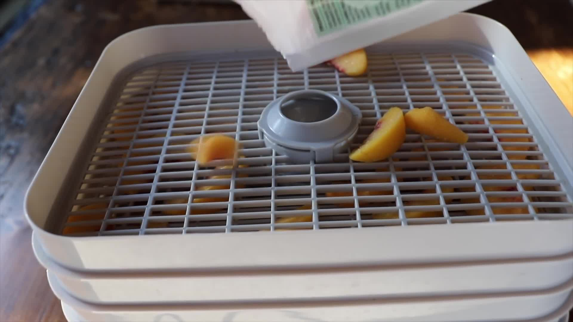 Thumbnail image for Making Progress at the OFF GRID CABIN