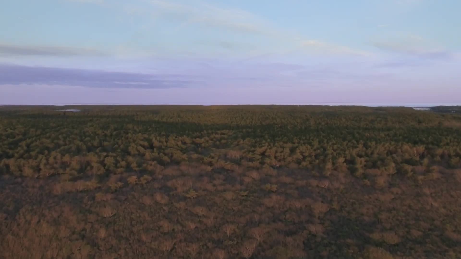 Thumbnail image for Standing Bold_ Cape Cod National Seashore