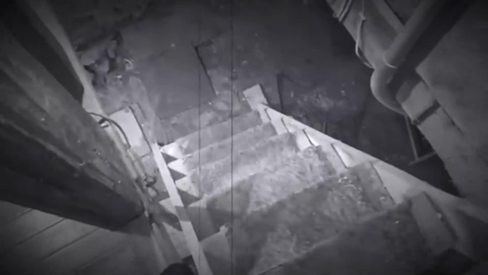 Thumbnail image for GBPTV Episode 4 - Mike Stevens