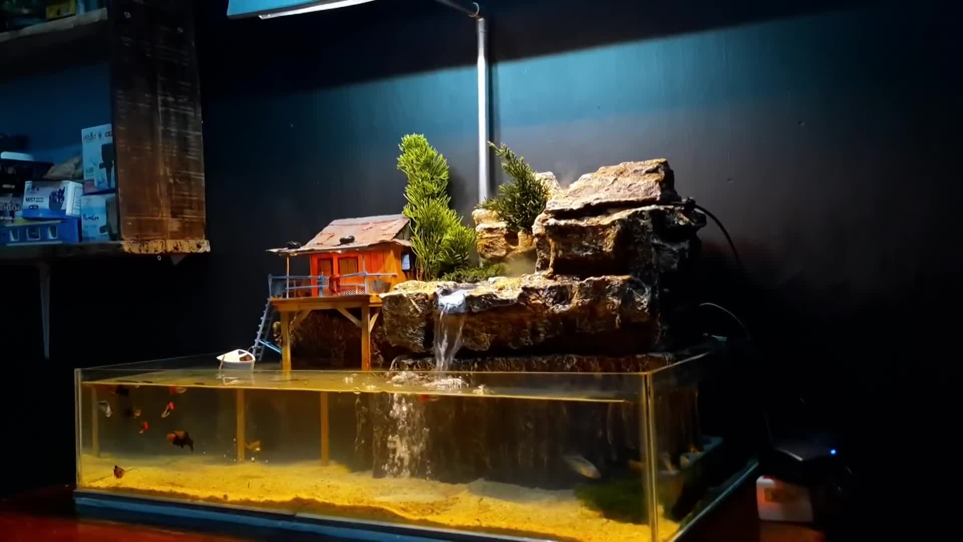 Thumbnail image for Amazing waterfall aquarium at very low cost