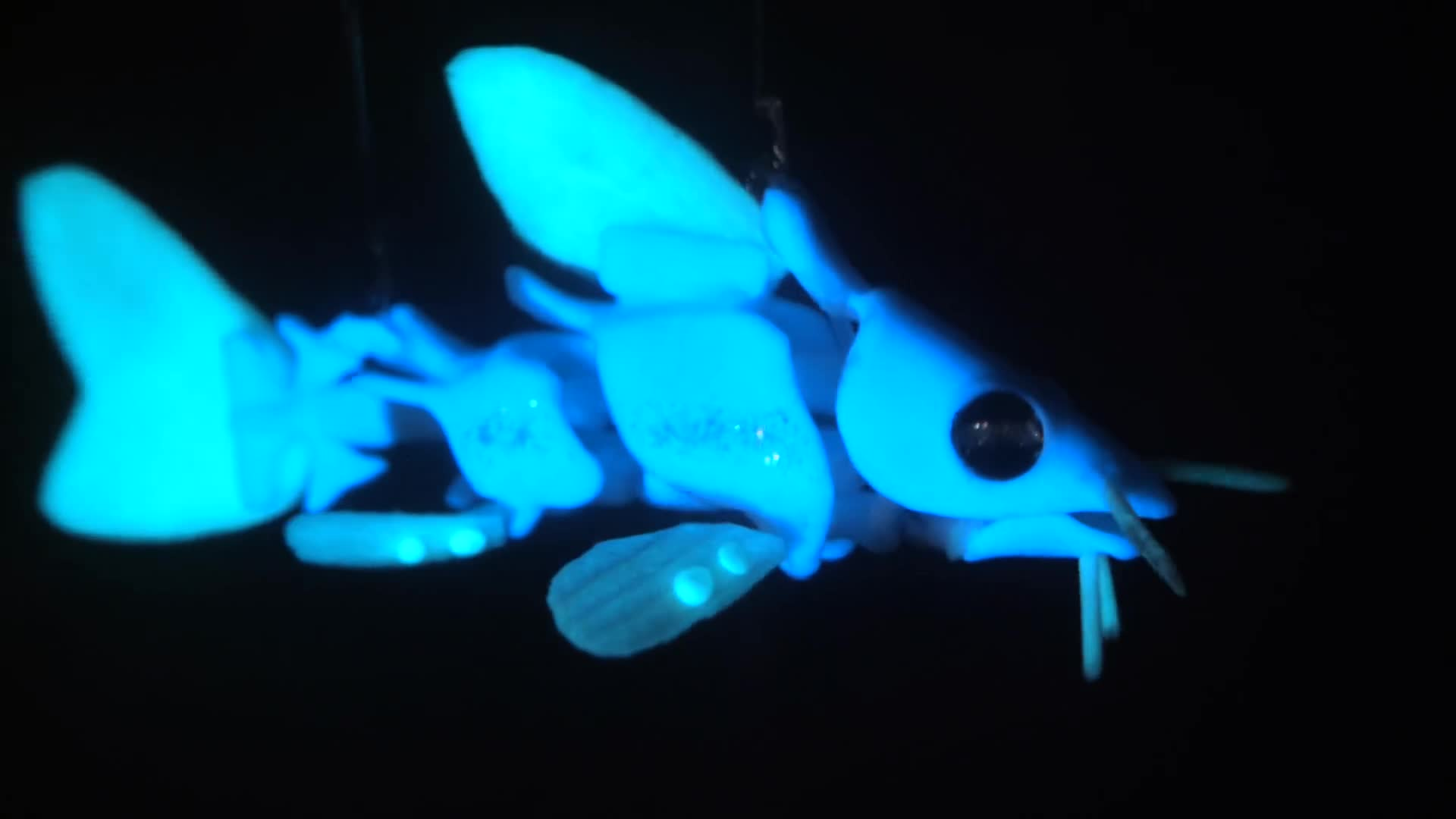 Thumbnail image for Phil Meets Martin Molin - Wintergatan