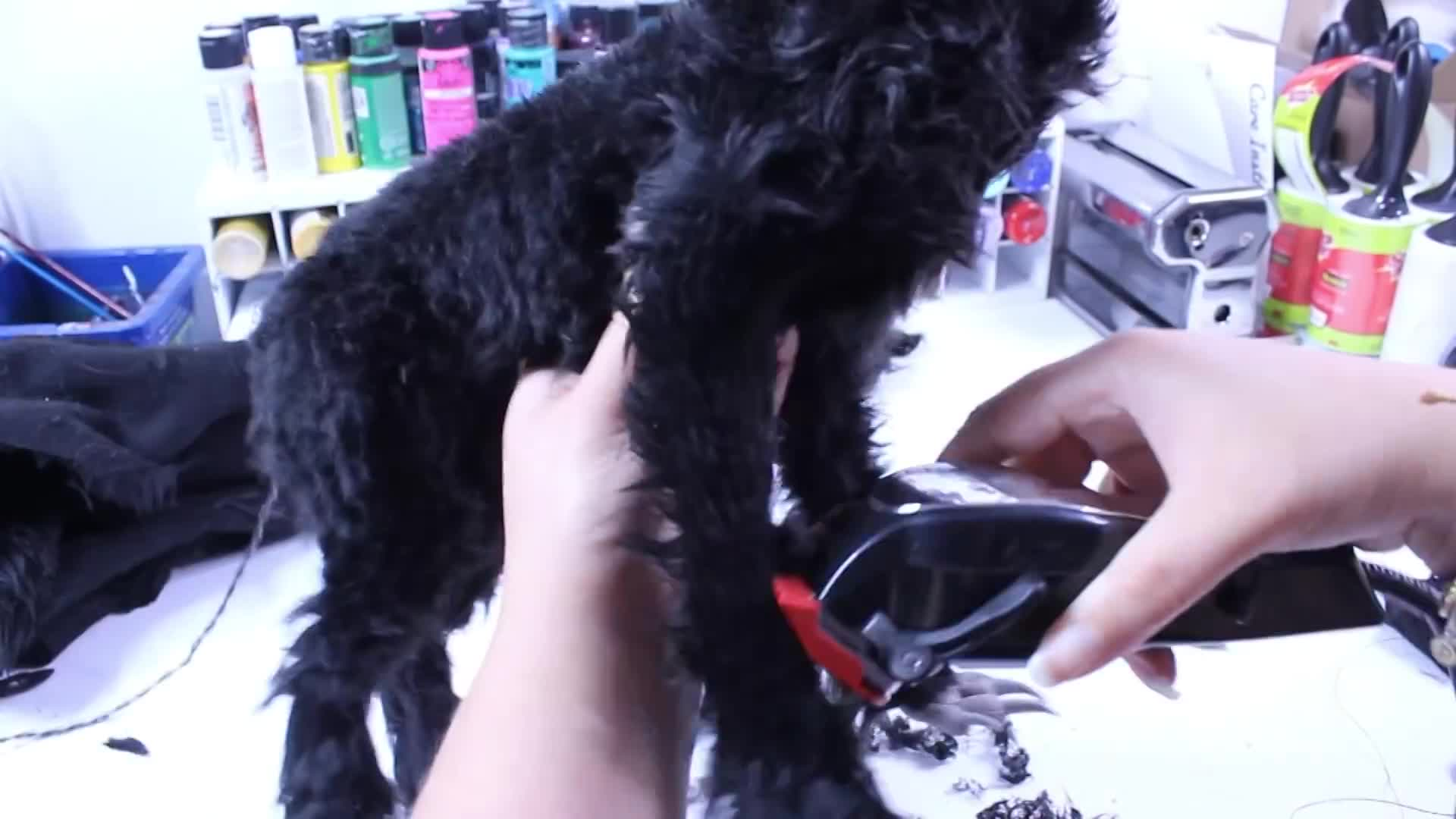 Thumbnail image for Making Cerberus l DIY Art Doll Tutorial